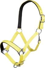 Cavezza HKM Stars Softice, fodera morbida, giallo neon, purosangue
