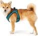 HUNTER Hilo Comfort Hundegeschirr