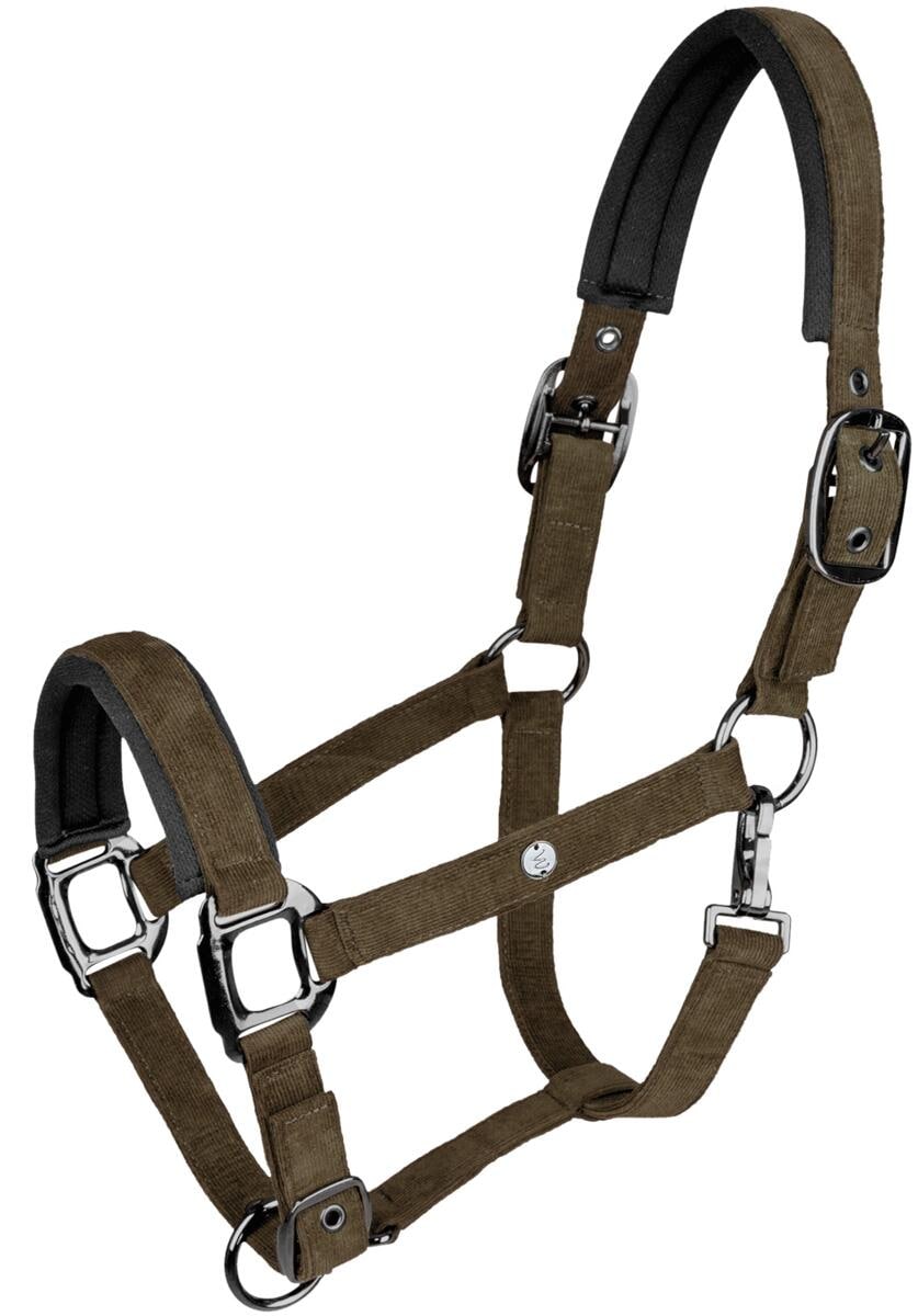 Waldhausen St. Gallen Halfter, grünbraun, WB