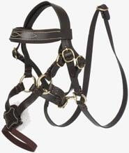 LeMieux Toy Pony - Museruola messicana, taglia unica, marrone