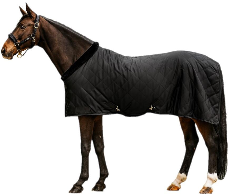 Waldhausen Exclusive Transportdecke, schwarz, 125cm