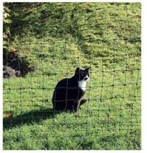 Göbel Euro 75/1 Katzennetz, grün, 25m
