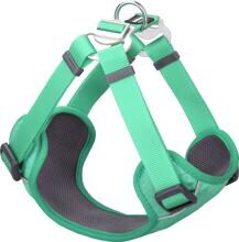Pettorina per cani Red Dingo Padded Step-In, imbottita, verde pastello, XS, 30-40 cm
