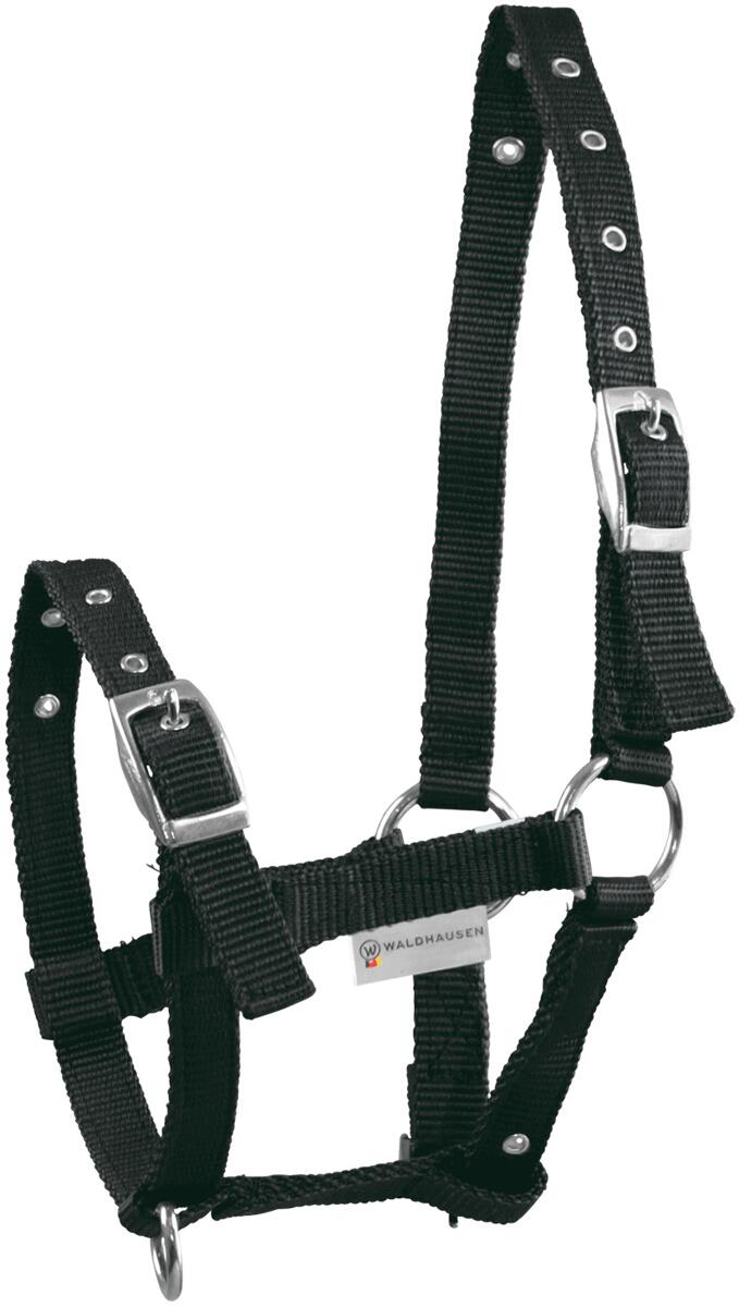 Waldhausen Triple Fohlenhalfter, schwarz
