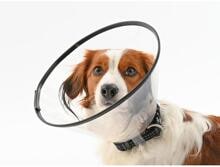 Collare KRUUSE BUSTER Comfort, 25 cm, 5 pezzi