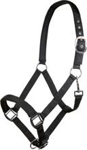 Cavezza HKM Charming, fodera morbida, nera, purosangue