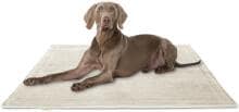 Knuffelwuff Timor Cord Hundedecke, 140x100cm, beige