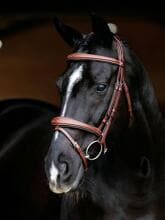 Briglia da competizione LeMieux Kudos, color castagna, Cob