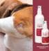 reboVet Rebohexan Spray