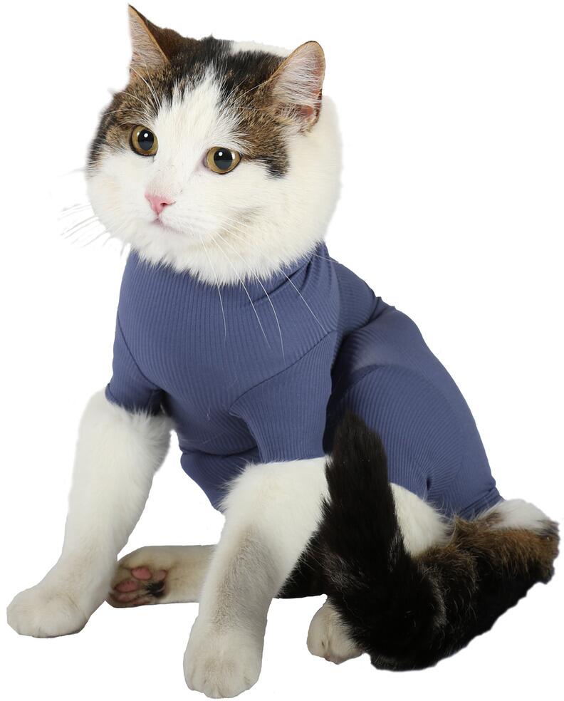 VetMedCare CAT BODY | Indigo Blue | für Katzen | Blau | XS+