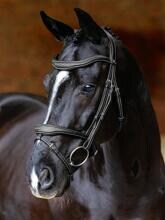 Briglia LeMieux Kudos Contour, nera, per pony