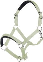 HKM Catherine cavezza, pistacchio, warmblood