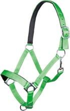 Cavezza HKM Stars, fodera morbida, verde chiaro, purosangue