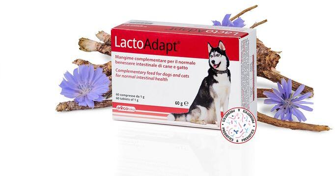 Dogoteka LactoAdapt Nahrungsergänzer, 15 Tabletten