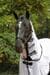 Covalliero RugBe SuperFly Fliegendecke inkl. Halsteil