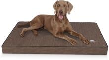 Knuffelwuff Palomino orthopädische Hundematte, 100x70cm, braun
