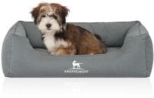 Knuffelwuff Leon orthopädisches Hundebett, 70x50cm, petrol