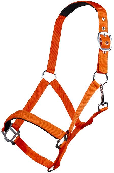 HKM Sydney Style Halfter, weich unterlegt, neon orange, Kaltblut