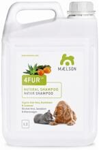 Mealson 4Fur Sanddorn & Meeresalgen Shampoo, 5000ml