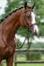 HKM Jana Snaffle