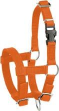 Cavezza per alpaca KERBL Hobbyfarming, regolabile, arancione