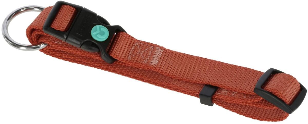 KERBL Pet Miami Halsband, rost, 20mm, 40-55cm