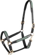 Waldhausen X-Line Oxford Lederhalfter, schwarz/grün, VB
