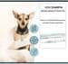 reboVet ReboDiarFin Paste im Injektor für Hunde und Katzen