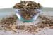 cdVet ArthroGreen mangime complementare alle erbe