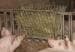 KERBL Double runner, galvanised