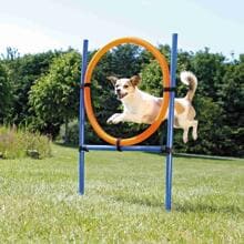 Trixie Fun Agility Ring, plastica, 115xø3cm, ø65cm, blu/arancio