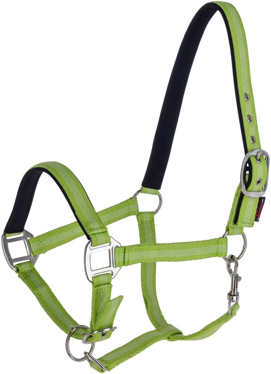 Covalliero Mustang Halfter, XXFull, grün