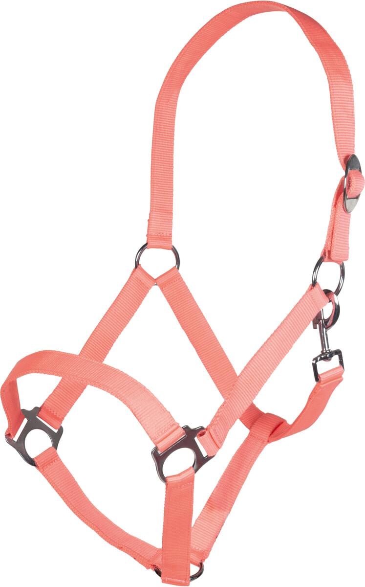 HKM Stars Economy Softice Halfter, neon koralle, Shetty