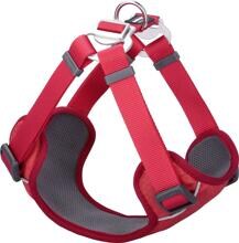 Pettorina per cani Red Dingo Padded Step-In, imbottita, rossa, taglia S, 36-50 cm