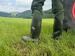 Göbel X-Agrifood S5 Sicherheitsstiefel