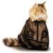 Show Tech Bathing Bag