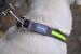 KERBL Pet Light & Reflex Leuchthalsband