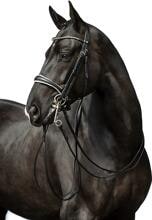 Briglia doppia HKM Dina, pony