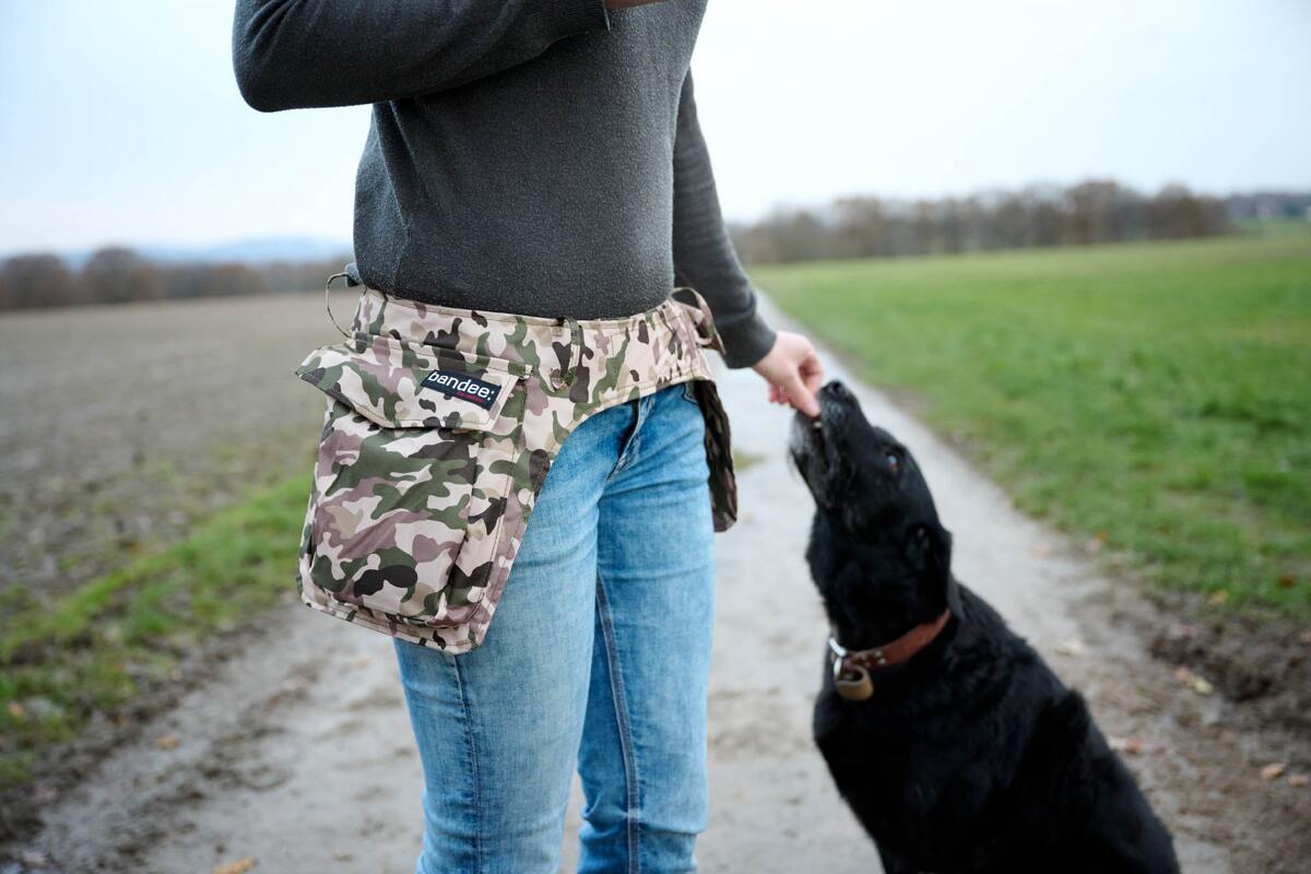 Owney Hundehalter Hüfttasche Bandee: Pouch +, camouflage, S