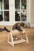 Designed by Lotte Yves Scratching post