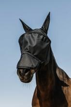 EQUITHÈME Protec Fliegen-/UV-Maske, schwarz, XS