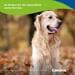 Canina Senior-Vital