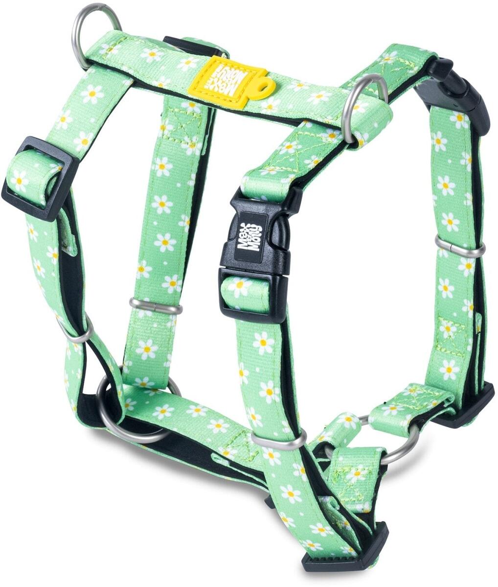 Max & Molly Margarite H-Geschirr, XS