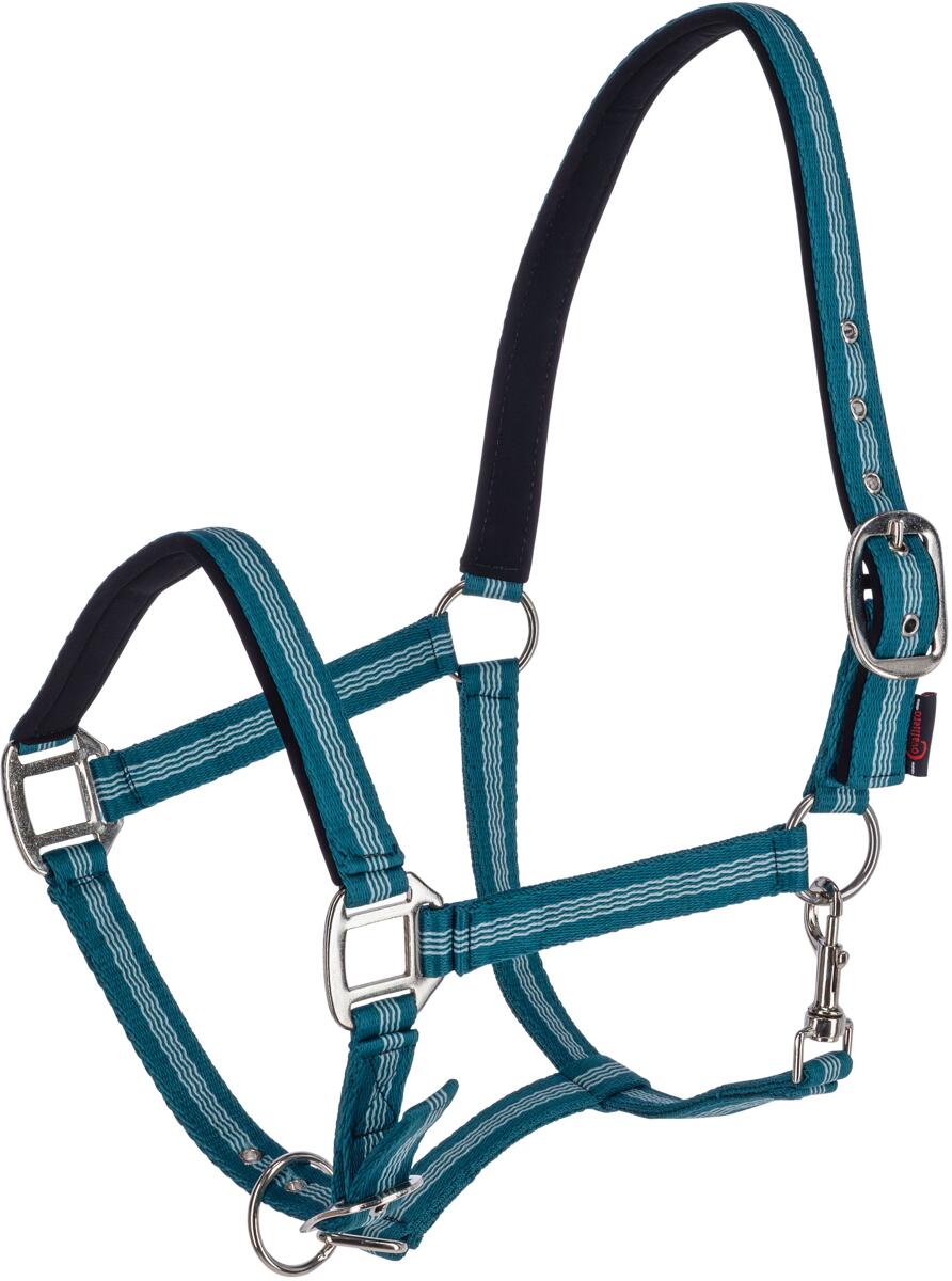 Covalliero Mustang Halfter, Cob, türkis