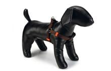beeztees Uni Hundegeschirr, dunkelblau, 60-100x2,5cm