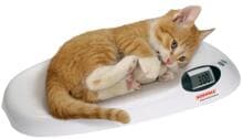 Soehnle Home small animal table scales with LCD display