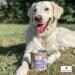 Paws & Patch MSM Pulver