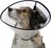 KERBL Pet Hunde-Halskrause