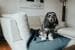 HUNTER Casper Hundedecke, 140x100cm