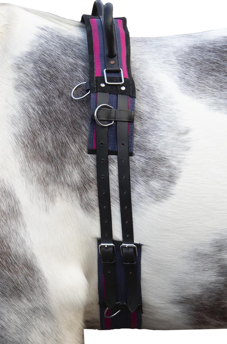 HKM Canvas Longiergurt, Doppelgriff, navy/passion pink, Mini Shetty